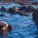 Image for article titled Adventure: California's Lost Coast